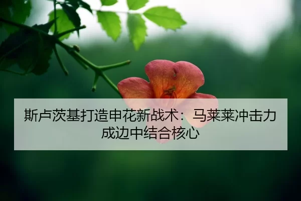 si-lu-ci-ji-da-zao-shen-hua-xin-zhan-shu-ma-lai-lai-chong-ji-li-cheng-bian-zhong-jie-he-he-xin-2-946.jpg