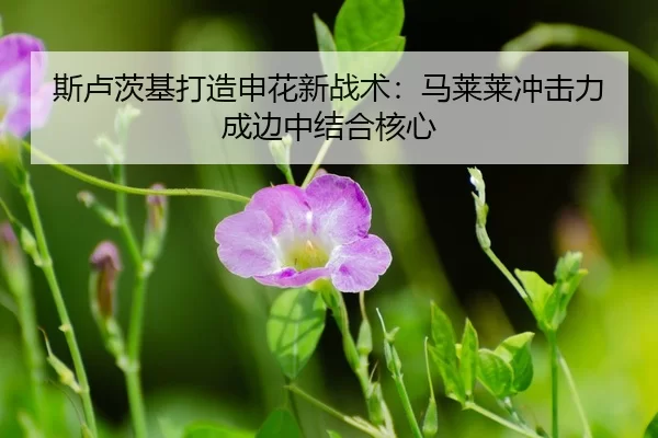 si-lu-ci-ji-da-zao-shen-hua-xin-zhan-shu-ma-lai-lai-chong-ji-li-cheng-bian-zhong-jie-he-he-xin-3-419.jpg