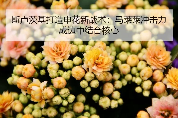 斯卢茨基打造申花新战术：马莱莱冲击力成边中结合核心