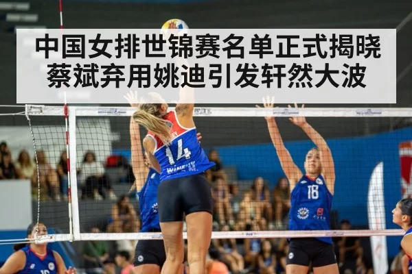 volleyball match action